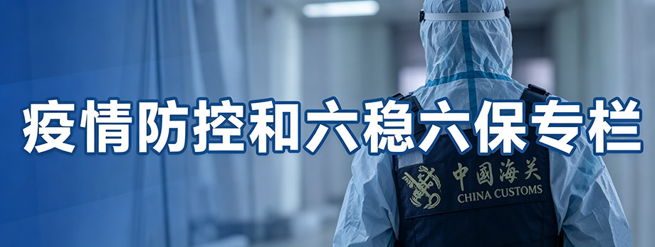 落实“六稳”“六保”