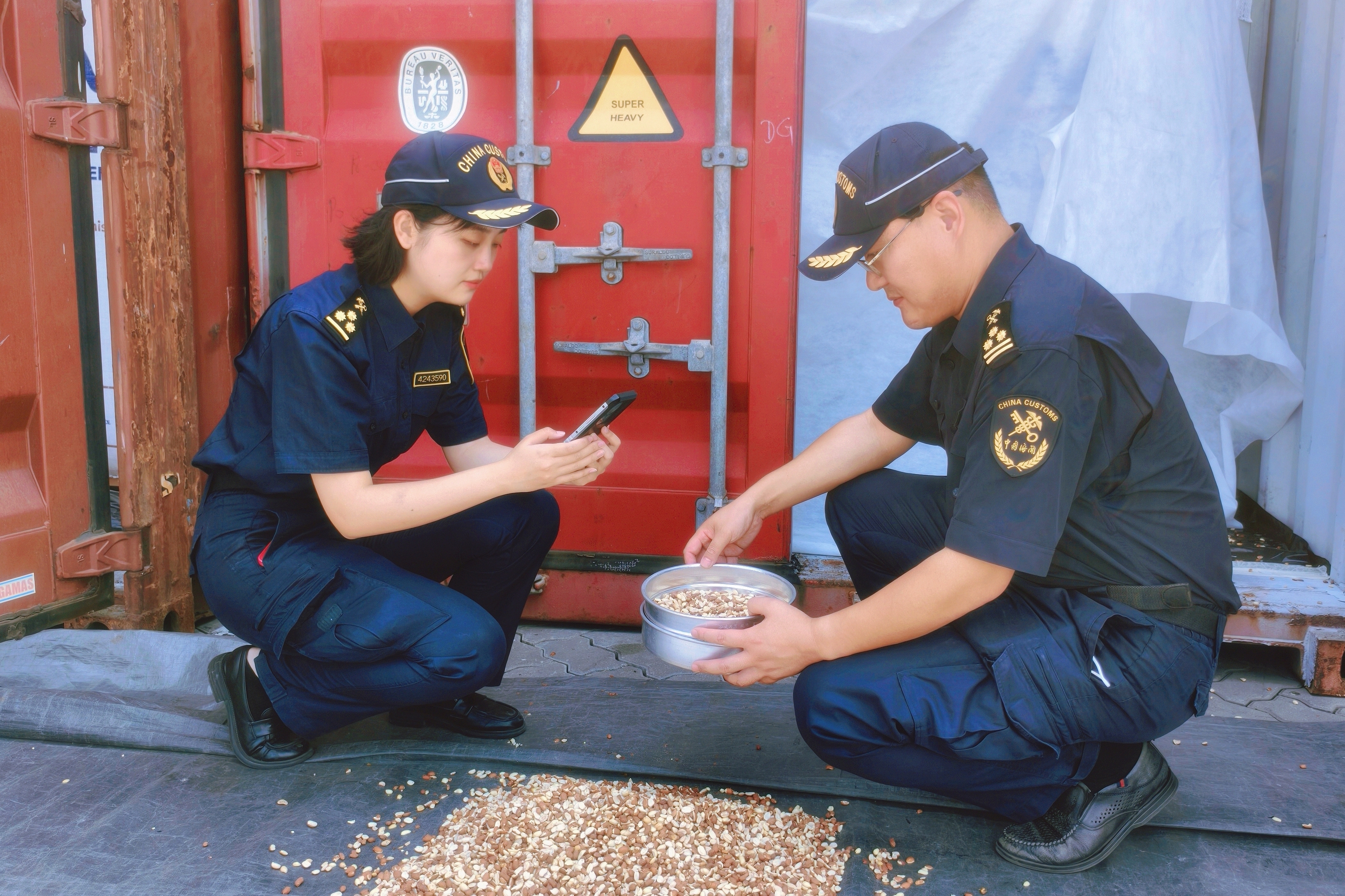 马达加斯加花生入境 进口花生来源更加多元化（图）