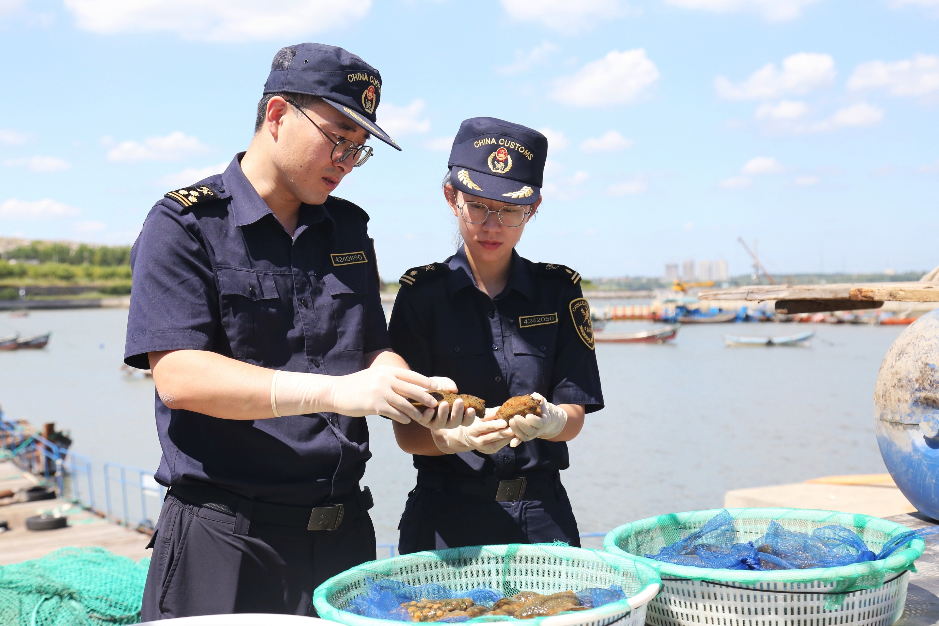 荣成鲜活海味“飘”向海外餐桌（图）